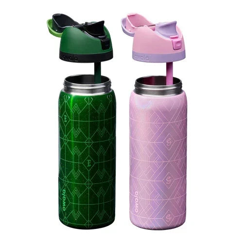 Freesip 32oz Wicked Movie Glinda & Elphaba Water Bottle, Owala Inspired Tumbler Cup with Straw, Insulated Drink Bottle for Couple Gifts & Fans
